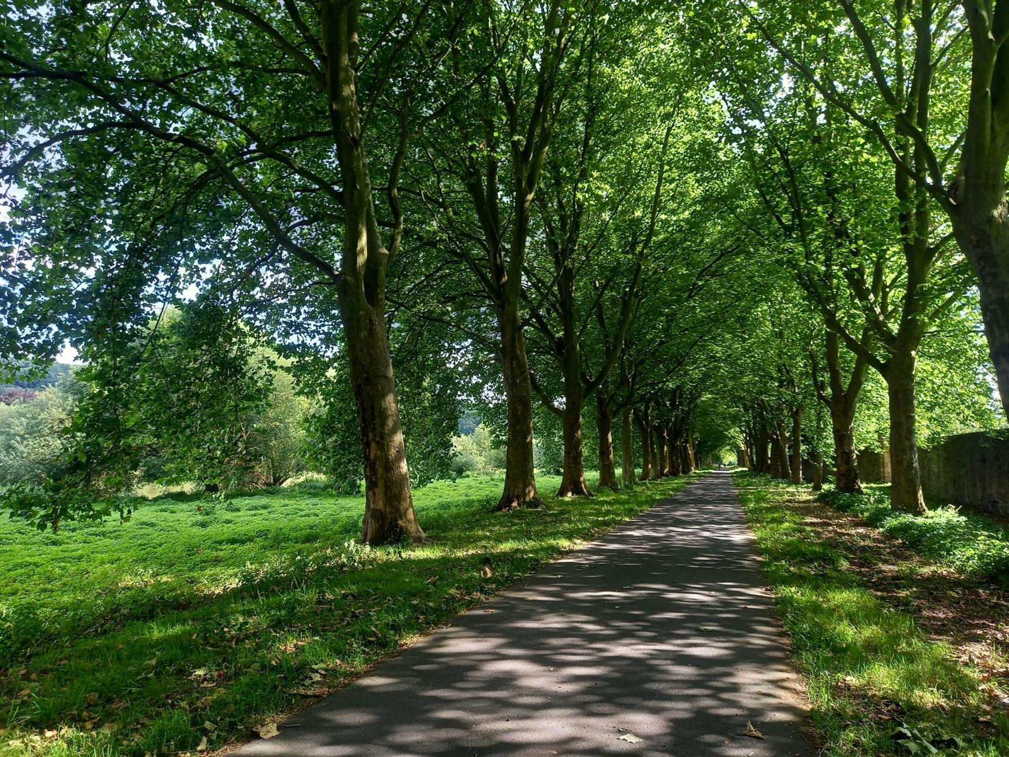 Ferienwohnung Feld Und Wiese ヘクスター エクステリア 写真